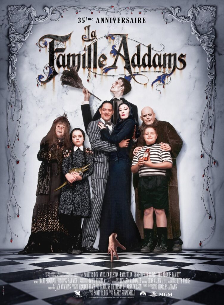 Affiche du film LA FAMILLE ADDAMS