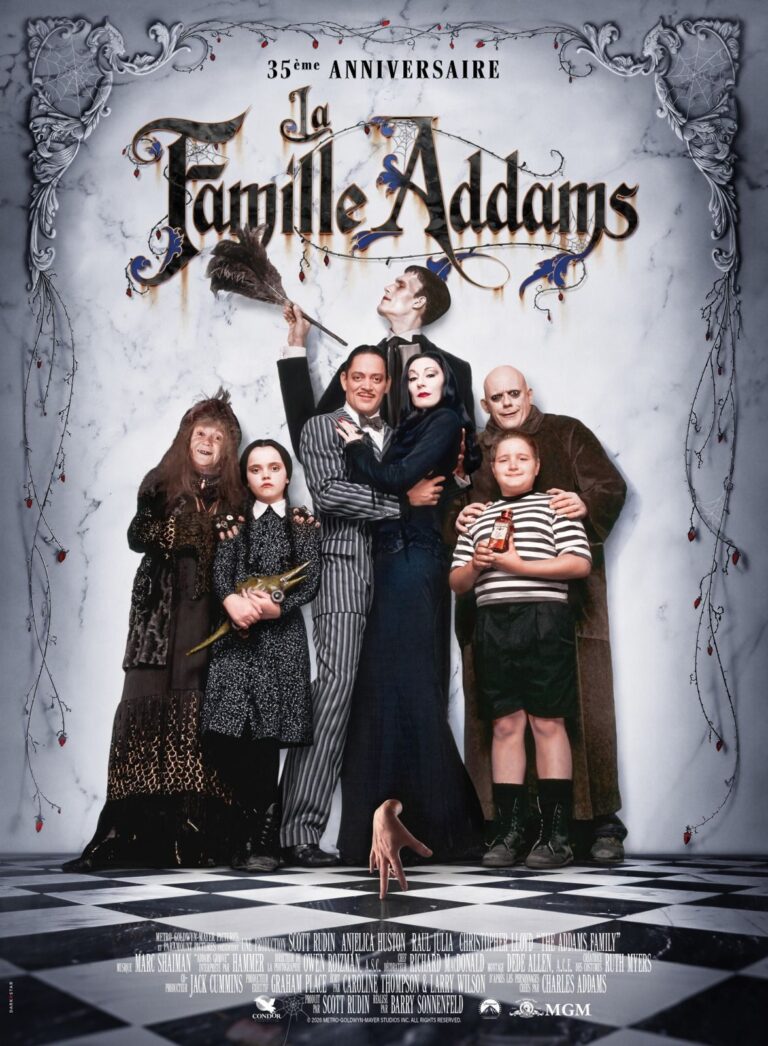 Affiche du film LA FAMILLE ADDAMS
